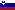 Flag for Slovenia